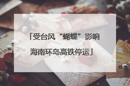 受台风“蝴蝶”影响 海南环岛高铁停运