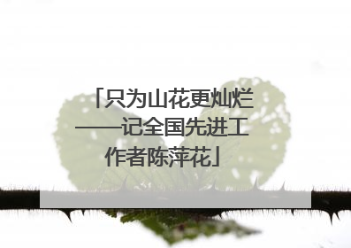 只为山花更灿烂——记全国先进工作者陈萍花