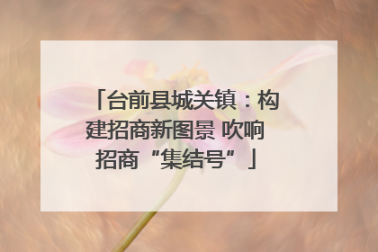 台前县城关镇：构建招商新图景 吹响招商“集结号”