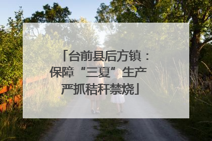 台前县后方镇：保障“三夏”生产 严抓秸秆禁烧