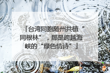 台湾同胞随州共植“同根林”，那是跨越海峡的“绿色情诗”