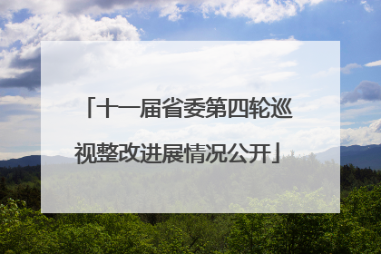 十一届省委第四轮巡视整改进展情况公开