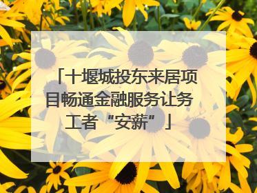 十堰城投东来居项目畅通金融服务让务工者“安薪”