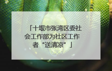 十堰市张湾区委社会工作部为社区工作者“送清凉”