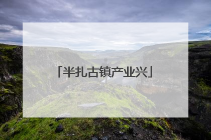 半扎古镇产业兴