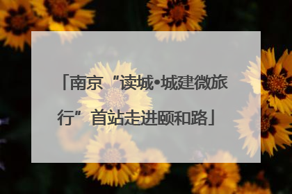 南京“读城•城建微旅行”首站走进颐和路