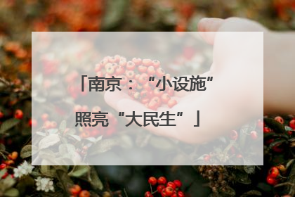 南京：“小设施”照亮“大民生”
