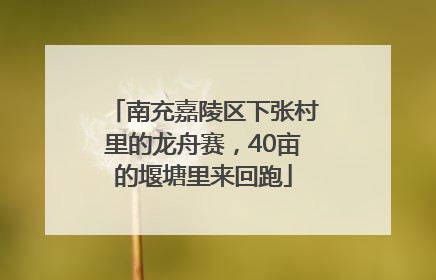 南充嘉陵区下张村里的龙舟赛，40亩的堰塘里来回跑