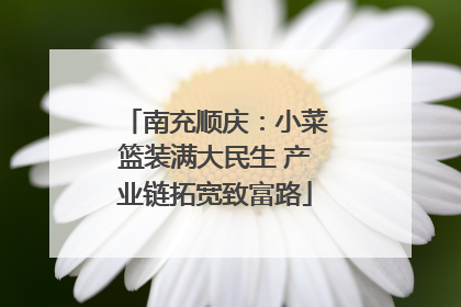 南充顺庆：小菜篮装满大民生 产业链拓宽致富路