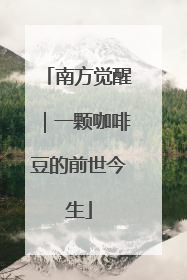 南方觉醒｜一颗咖啡豆的前世今生