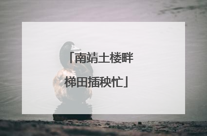 南靖土楼畔 梯田插秧忙