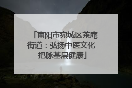 南阳市宛城区茶庵街道：弘扬中医文化 把脉基层健康