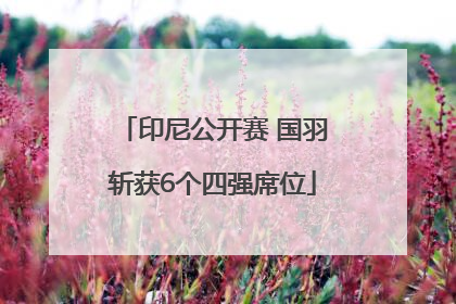 印尼公开赛 国羽斩获6个四强席位