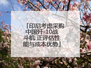 印尼考虑采购中国歼-10战斗机 正评估性能与成本优势