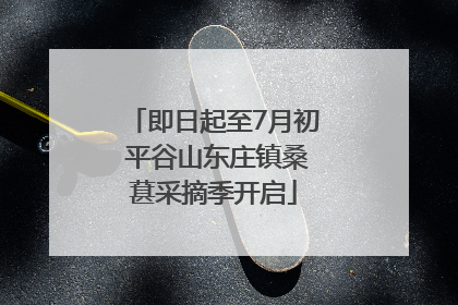 即日起至7月初 平谷山东庄镇桑葚采摘季开启