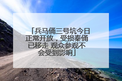 兵马俑三号坑今日正常开放，受损秦俑已移走 观众参观不会受到影响