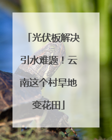 光伏板解决引水难题！云南这个村旱地变花田