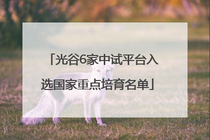 光谷6家中试平台入选国家重点培育名单