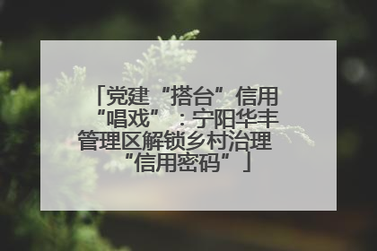 党建“搭台”信用“唱戏”：宁阳华丰管理区解锁乡村治理“信用密码”
