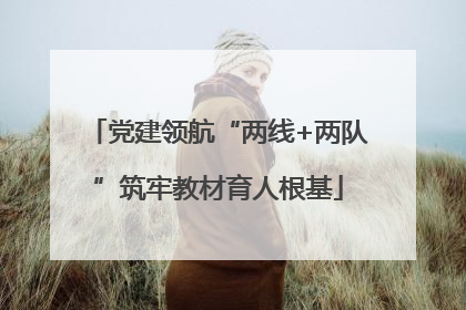 党建领航“两线+两队”筑牢教材育人根基