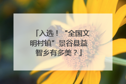 入选！“全国文明村镇”景谷县益智乡有多美？