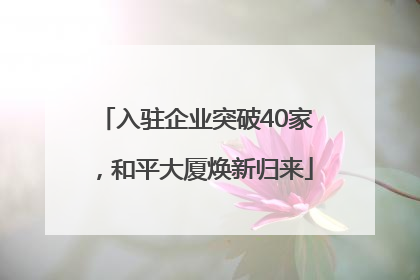入驻企业突破40家，和平大厦焕新归来