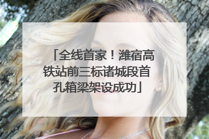 全线首家！潍宿高铁站前三标诸城段首孔箱梁架设成功