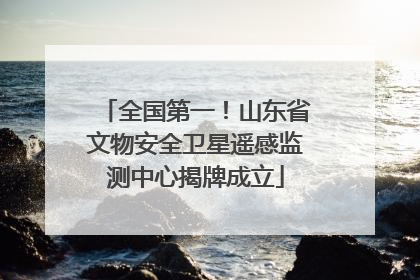 全国第一！山东省文物安全卫星遥感监测中心揭牌成立