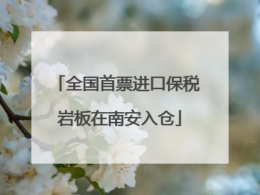 全国首票进口保税岩板在南安入仓