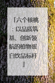 六个核桃：以品质筑基、创新领航的植物蛋白饮品标杆