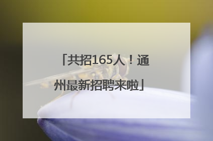 共招165人！通州最新招聘来啦