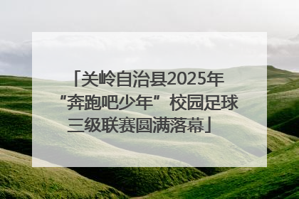关岭自治县2025年“奔跑吧少年”校园足球三级联赛圆满落幕