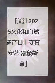 关注2025文化和自然遗产日丨守真守艺 器象新章