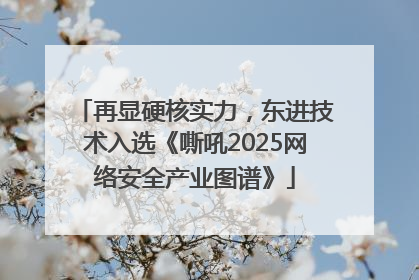 再显硬核实力，东进技术入选《嘶吼2025网络安全产业图谱》