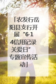 农发行岳阳县支行开展“6·14信用记录关爱日” 专题宣传活动