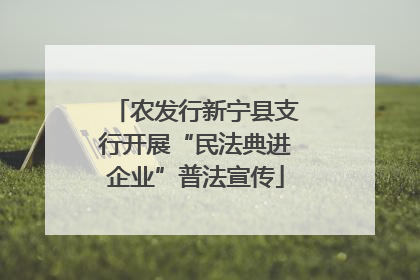 农发行新宁县支行开展“民法典进企业”普法宣传