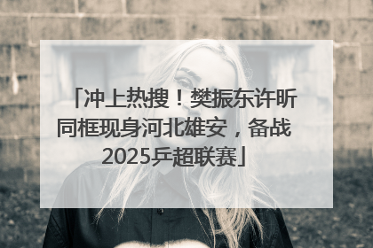 冲上热搜！樊振东许昕同框现身河北雄安，备战2025乒超联赛