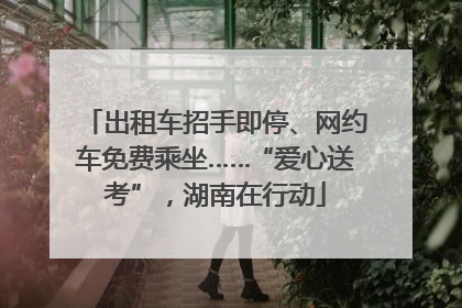 出租车招手即停、网约车免费乘坐……“爱心送考”，湖南在行动
