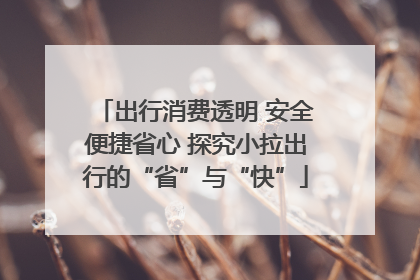 出行消费透明 安全便捷省心 探究小拉出行的“省”与“快”