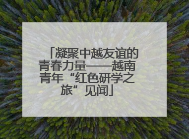 凝聚中越友谊的青春力量——越南青年“红色研学之旅”见闻