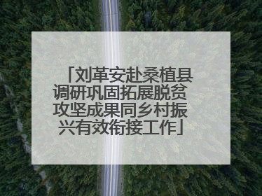 刘革安赴桑植县调研巩固拓展脱贫攻坚成果同乡村振兴有效衔接工作