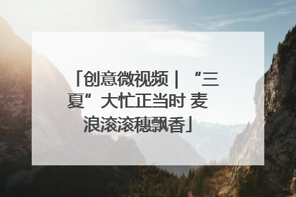 创意微视频｜“三夏”大忙正当时 麦浪滚滚穗飘香