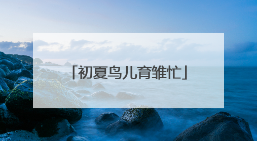 初夏鸟儿育雏忙