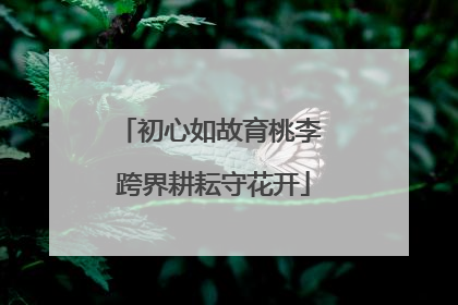 初心如故育桃李 跨界耕耘守花开