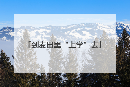 到麦田里“上学”去