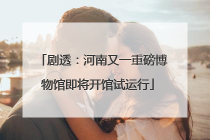 剧透：河南又一重磅博物馆即将开馆试运行