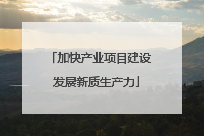 加快产业项目建设 发展新质生产力