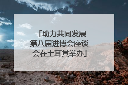 助力共同发展 第八届进博会座谈会在土耳其举办