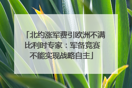 北约涨军费引欧洲不满 比利时专家：军备竞赛不能实现战略自主