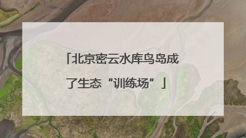 北京密云水库鸟岛成了生态“训练场”